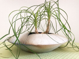  Was ist dir wichtig?