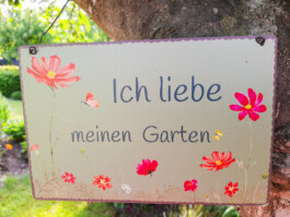  Was ist dir wichtig?