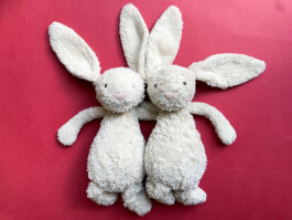  Was ist dir wichtig?