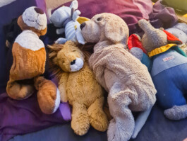  Was ist dir wichtig?