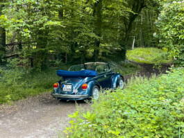  Was ist dir wichtig?