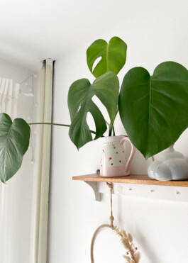  Was ist dir wichtig?