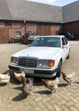  Was ist dir wichtig?