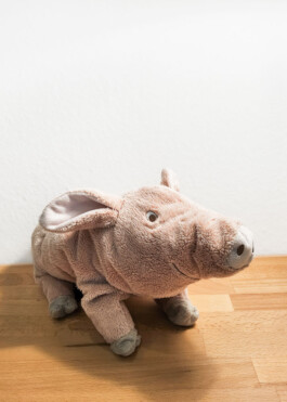  Was ist dir wichtig?