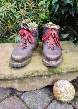  Was ist dir wichtig?