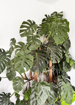  Was ist dir wichtig?