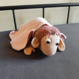  Was ist dir wichtig?