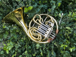  Was ist dir wichtig?