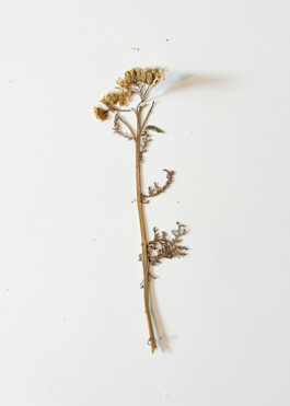  Was ist dir wichtig?