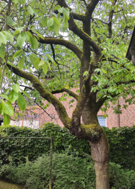  Was ist dir wichtig?