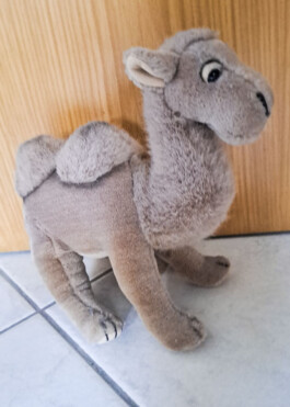  Was ist dir wichtig?