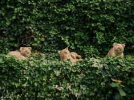  Was ist dir wichtig?