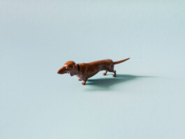  Was ist dir wichtig?