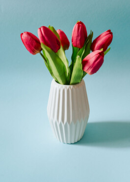  Was ist dir wichtig?