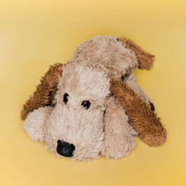  Was ist dir wichtig?