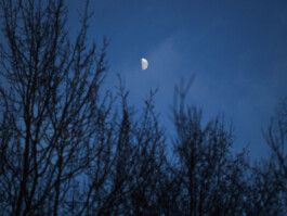  Was ist dir wichtig?